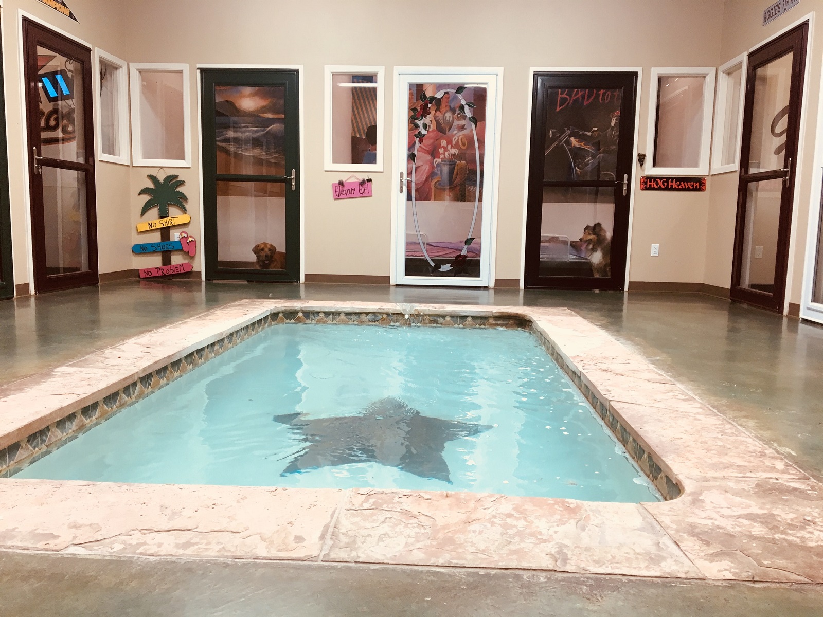 Dog Boarding In Lufkin Texas at Natalie Page blog